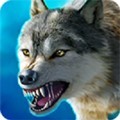 狼族无限金币钻石版2025v3.5.1