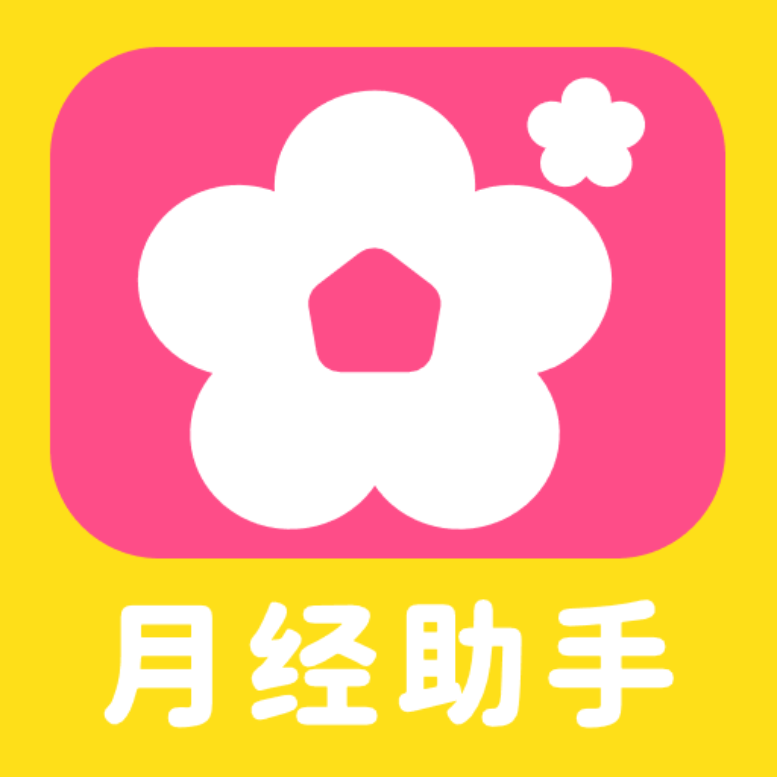 柚子姨妈记手机版下载v1.0.4