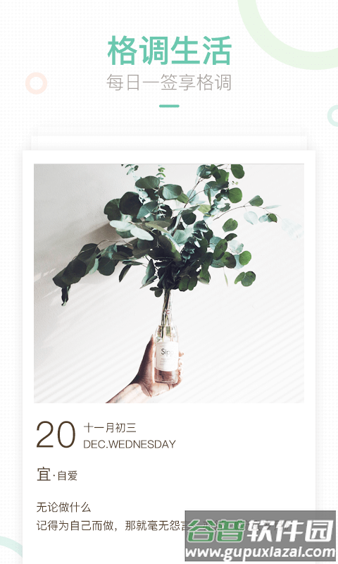 妈妈网轻聊官方下载截图4