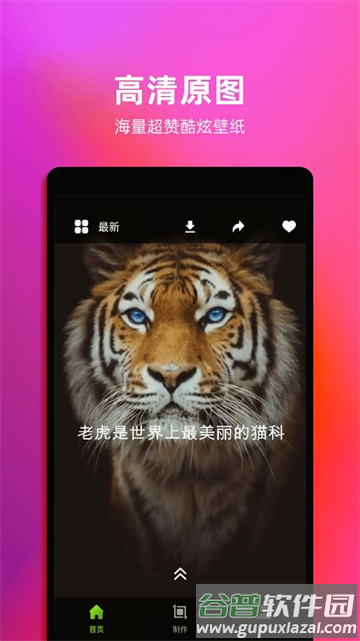 4K动态壁纸下载
