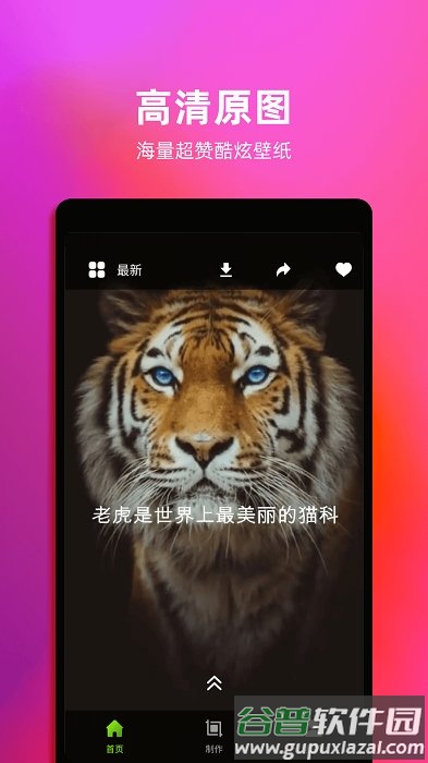 4K动态壁纸下载截图3