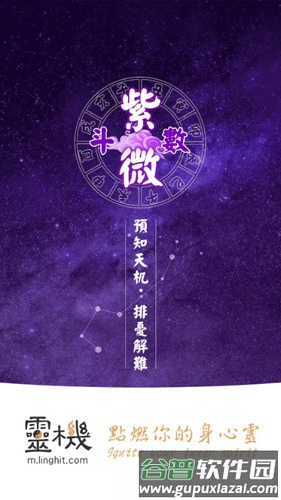 灵动紫微斗数手机版图片1