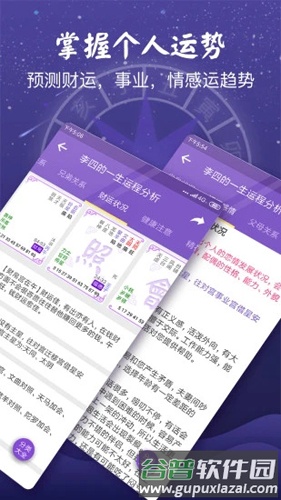 灵动紫微斗数APP截图2