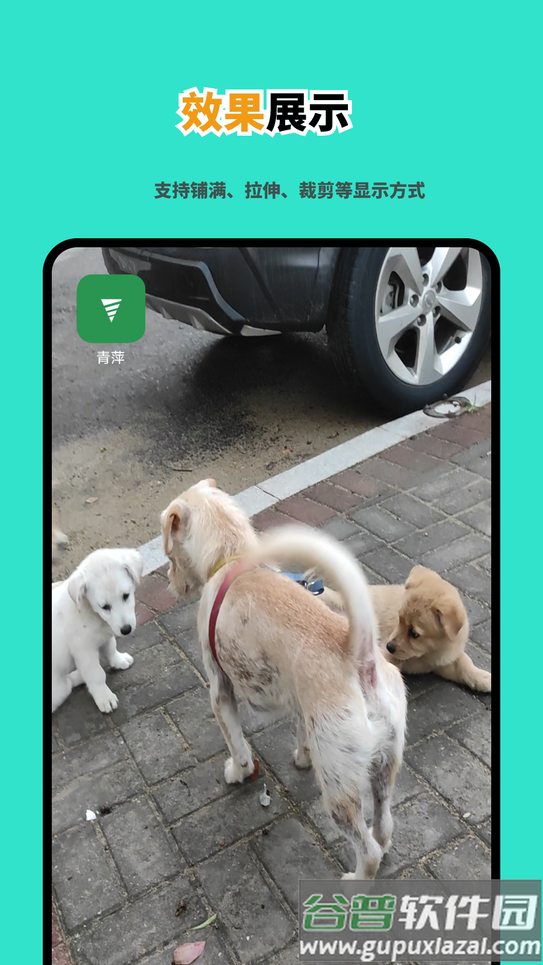 青萍视频壁纸软件截图4