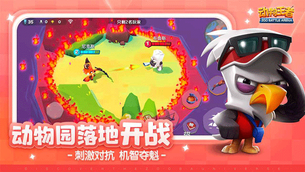 动物王者最新版2025(Zooba)截图3