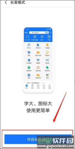 支付宝敬老版5