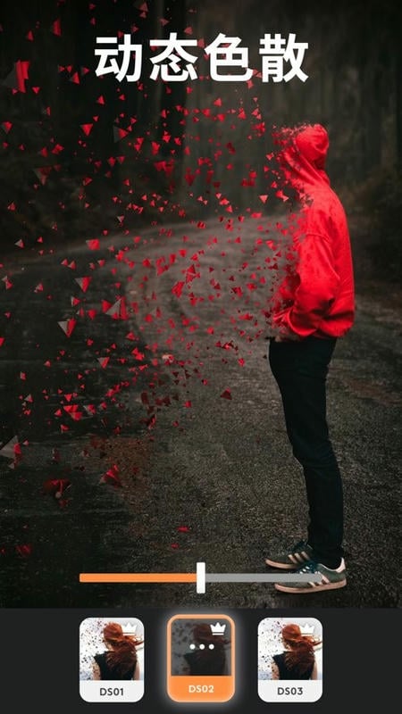 Enlight Photoloop手机版下载