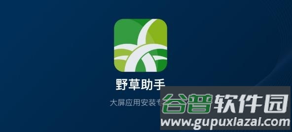 野草助手软件app