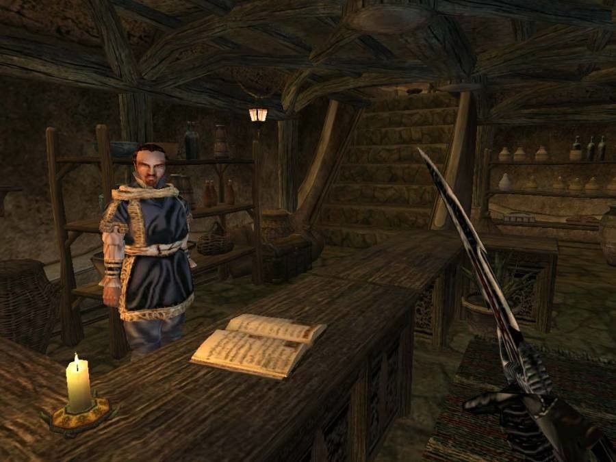上古卷轴3晨风(openmw)截图2