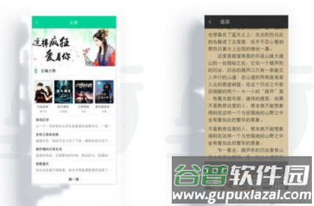 免费轻小说去广告app