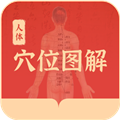 人体穴位图解app安卓版v1.4