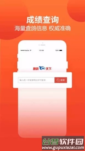 赛鸽头条app2