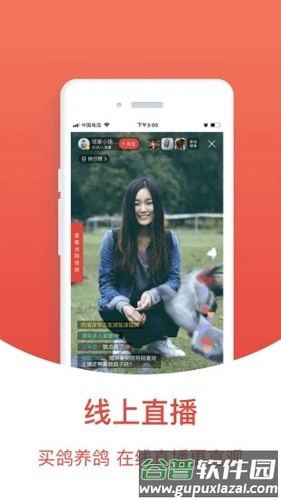 赛鸽头条安卓版截图4