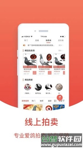 赛鸽头条安卓版截图5