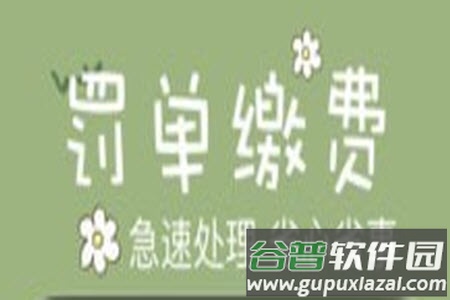 123违章查询手机版官方官方app