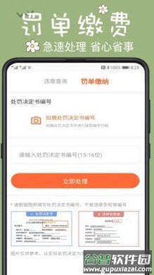 123违章查询手机版官方app截图4