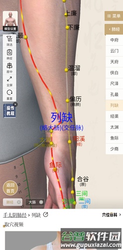 中济经络穴位app使用教程2