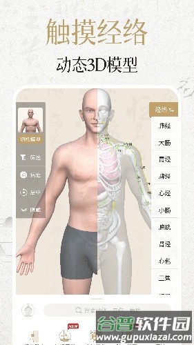 中济经络穴位app截图1