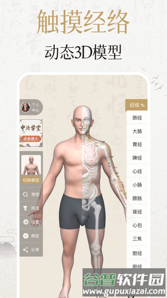 经络穴位3D2