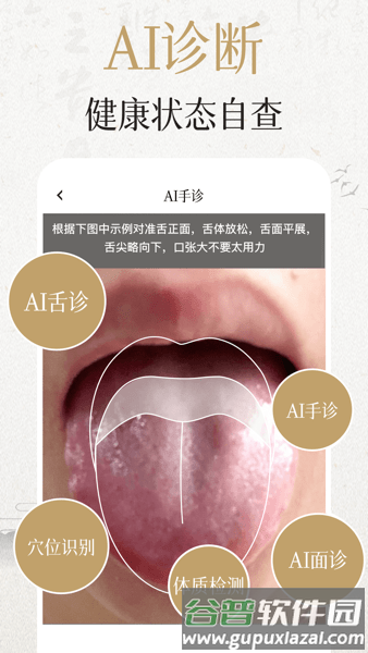 经络穴位3D3