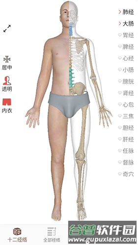 经络穴位3Dapp截图1
