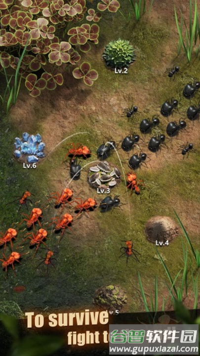 蚂蚁地下王国模拟器(The Ants)截图4