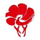 放新办appv1.1.4