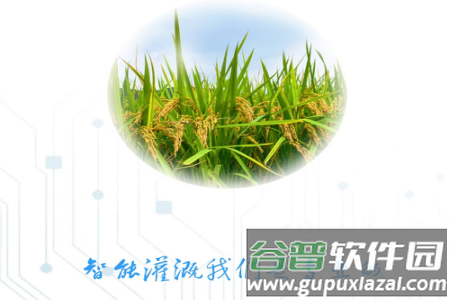 云水app