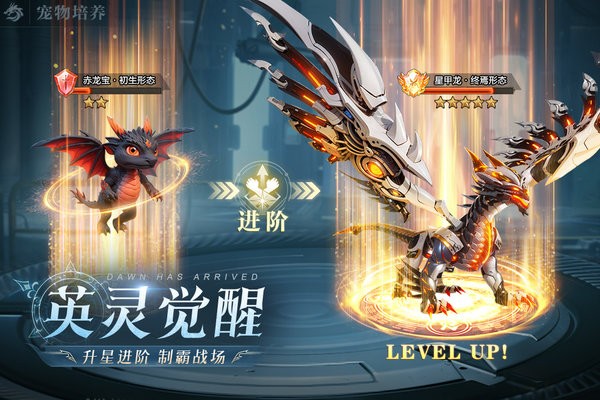 黎明之塔游戏最新版截图2