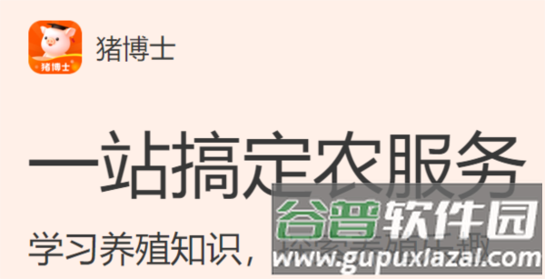 猪博士1