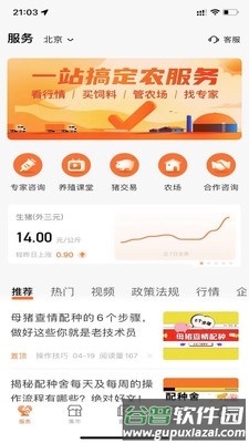 猪博士最新版截图1