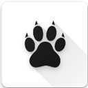Amarok appv0.8.3