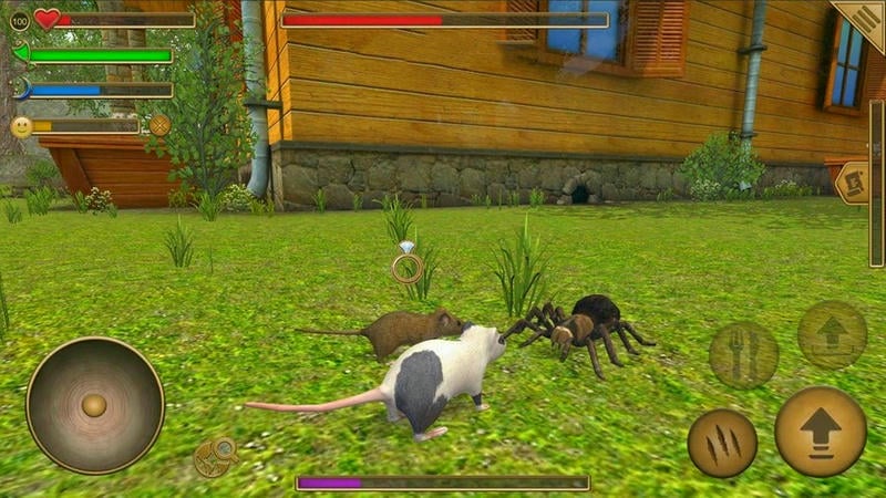 老鼠生存模拟器游戏截图1