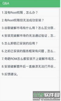 谷歌安装器app截图4