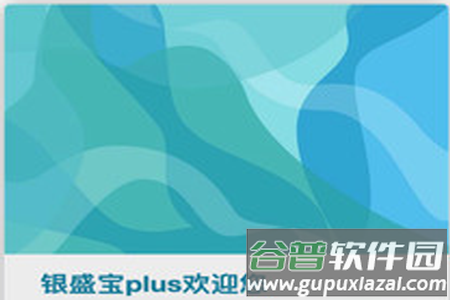 银盛宝plus app