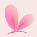 VTube Studio安卓版v1.26.6