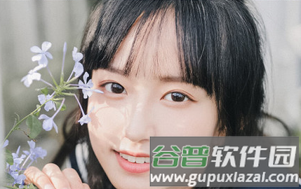 proccd软件截图4