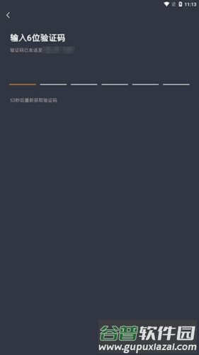 盛智易联车主3