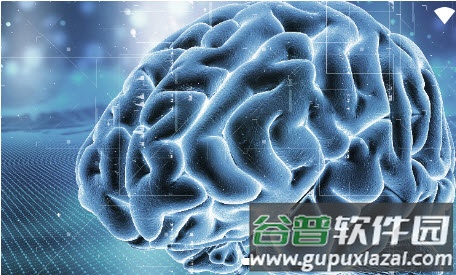 exebrain app