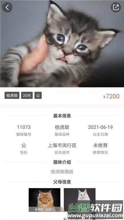 家连猫舍app截图3
