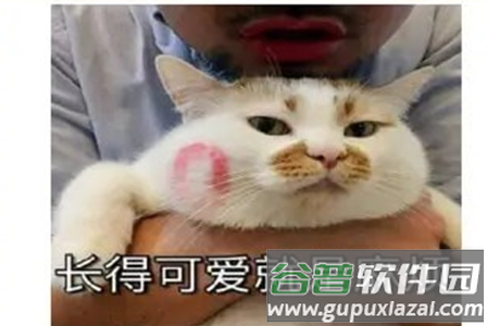 表情动图制作app