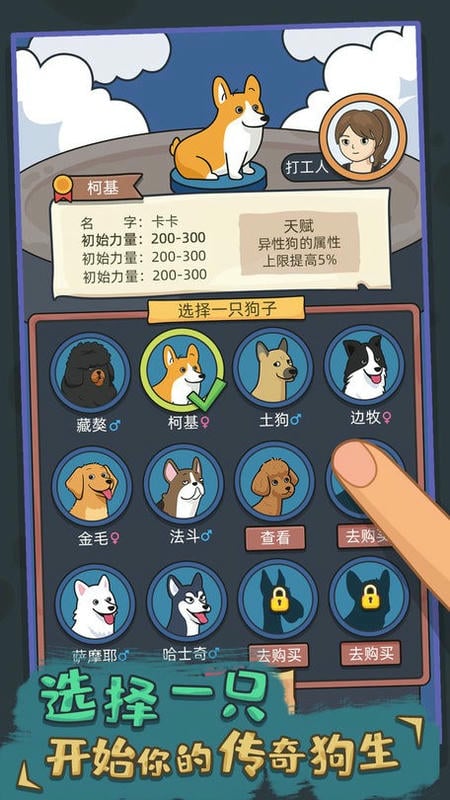 狗生模拟器破解版下载