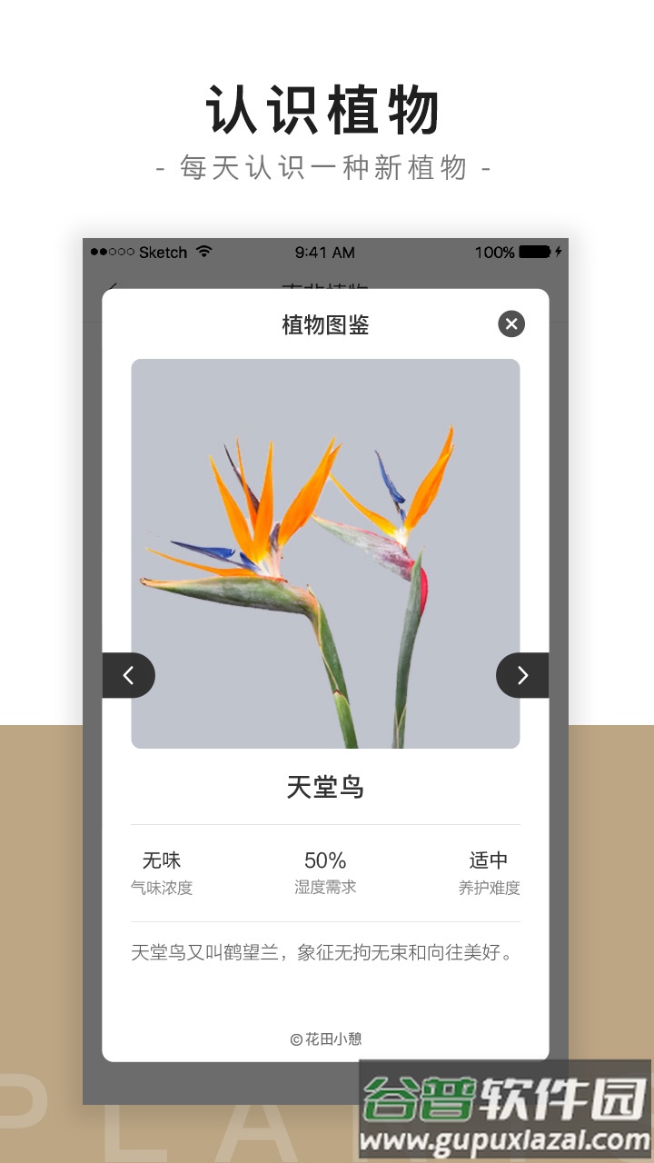 花田小憩app截图4