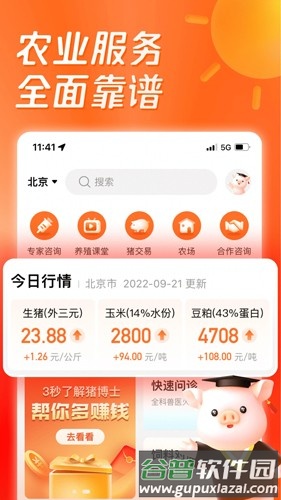正大猪博士安卓版截图5