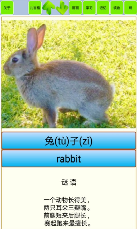 宝宝识动物汽车画画手游截图4