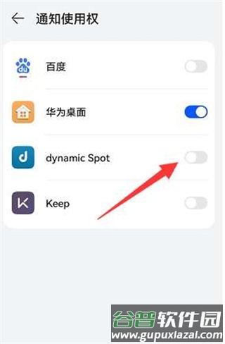dynamic Spot中文版5