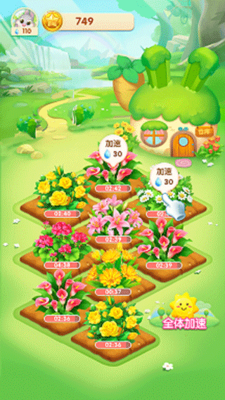 天天种花红包版截图1