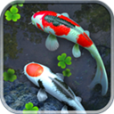鱼池动态壁纸app最新版v1.89