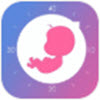 元墨孕育appv0.3.2