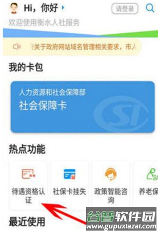 衡水人社待遇资格认证app